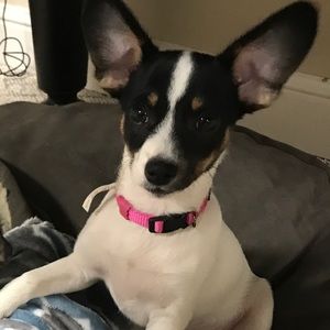 Meet your Posher, Julie